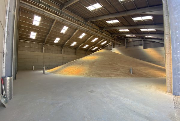 Agricultural grain barn extension