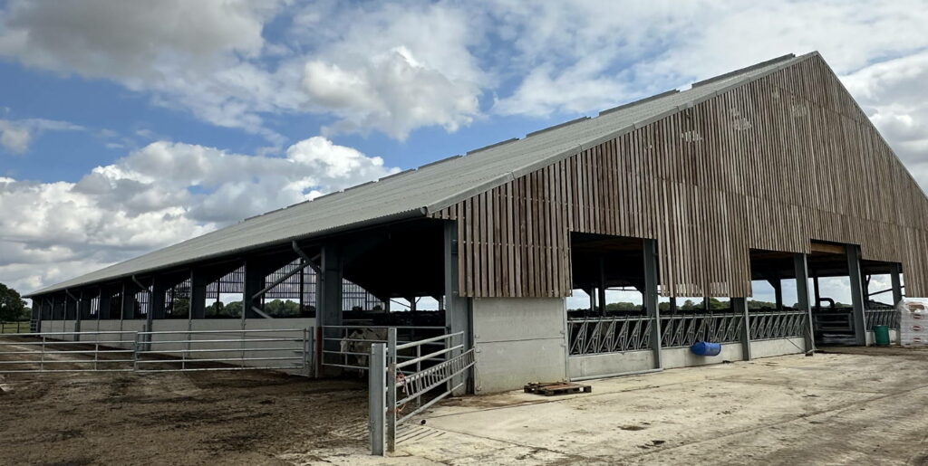 Agricultural cow barn project