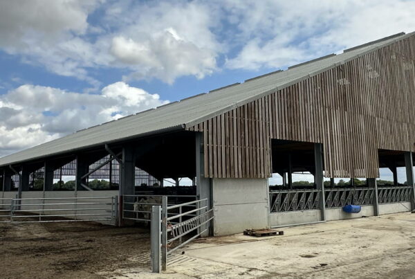 Agricultural cow barn project